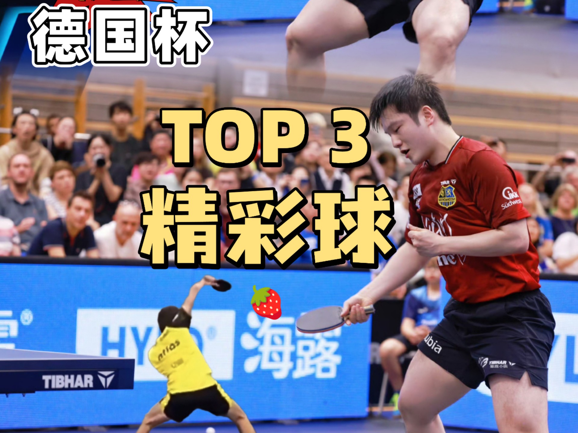 英国乒乓球队险胜中国乒乓球队，樊振东制霸全场的简单介绍