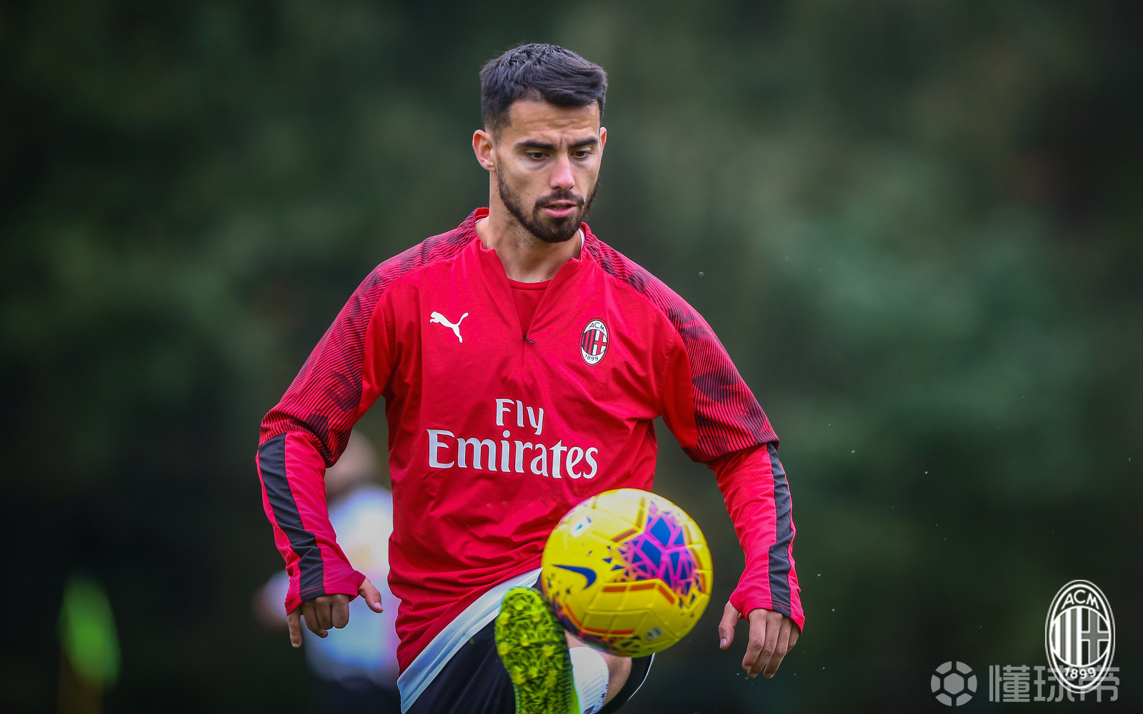 开云APP-大阪黄蜂取得胜利，积极备战半决赛的简单介绍