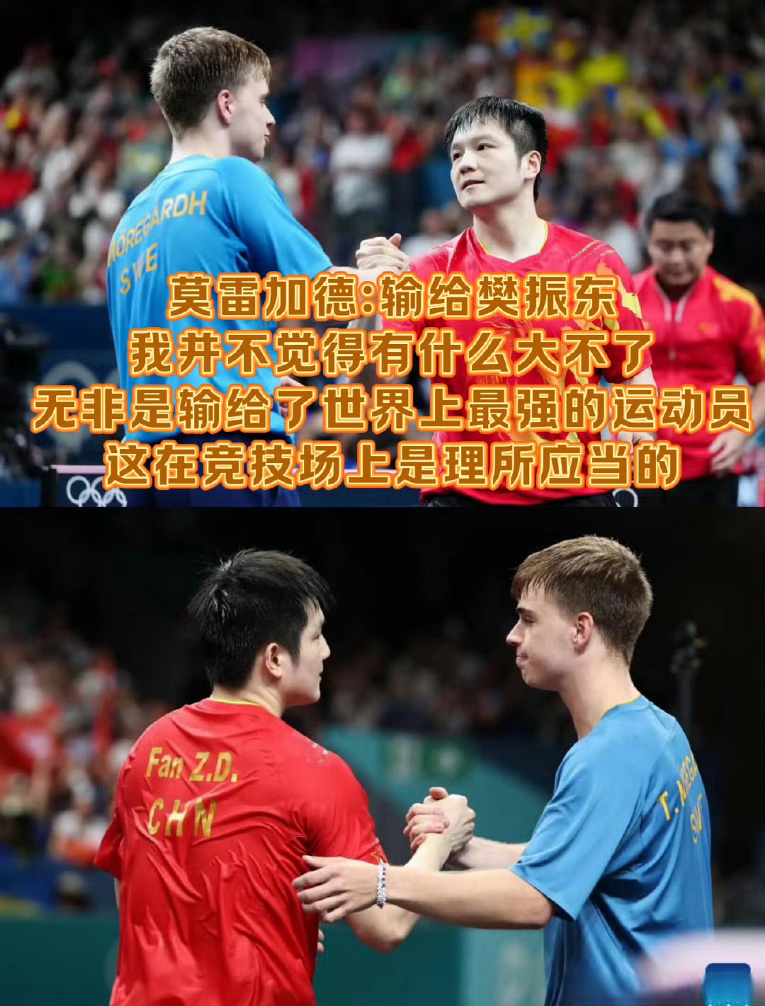 中国队翻盘日本队,樊振东带队取胜 中国队翻盘日本队,樊振东带队取胜