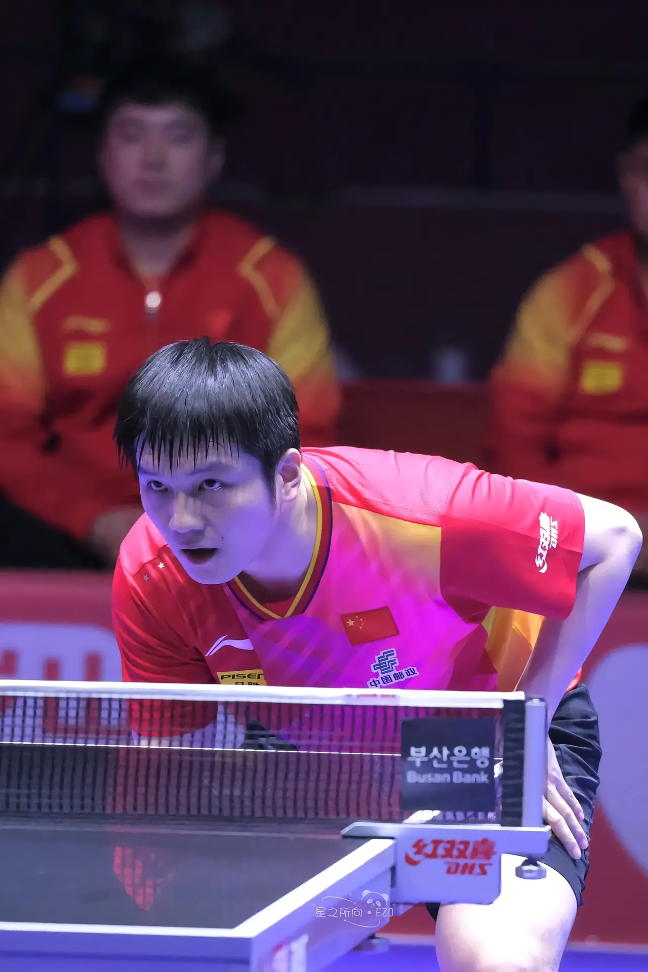 中国队力克法国队，张继科状态火热的简单介绍