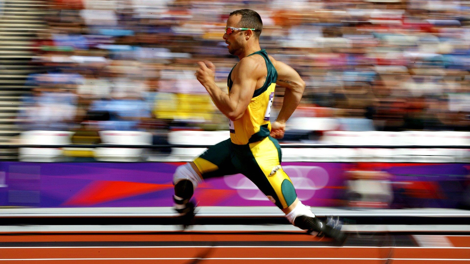 从美网鏖战到澳网登顶，辛纳关键制胜背后的蜕变之路